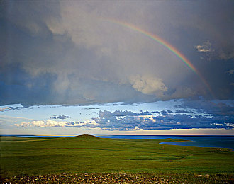 吃瓜网-热心的朝阳群众,分享每日新鲜事儿｜朝阳区热心网友共享新鲜事引发的社区热潮-3